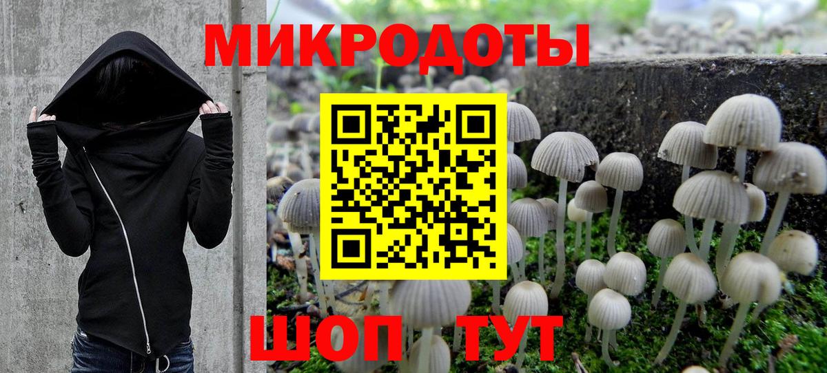 Псилоцибиновые грибы Psilocybine cubensis Камень-на-Оби