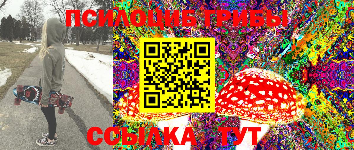 Галлюциногенные грибы Magic Shrooms  Вход с VPN  Камень-на-Оби 